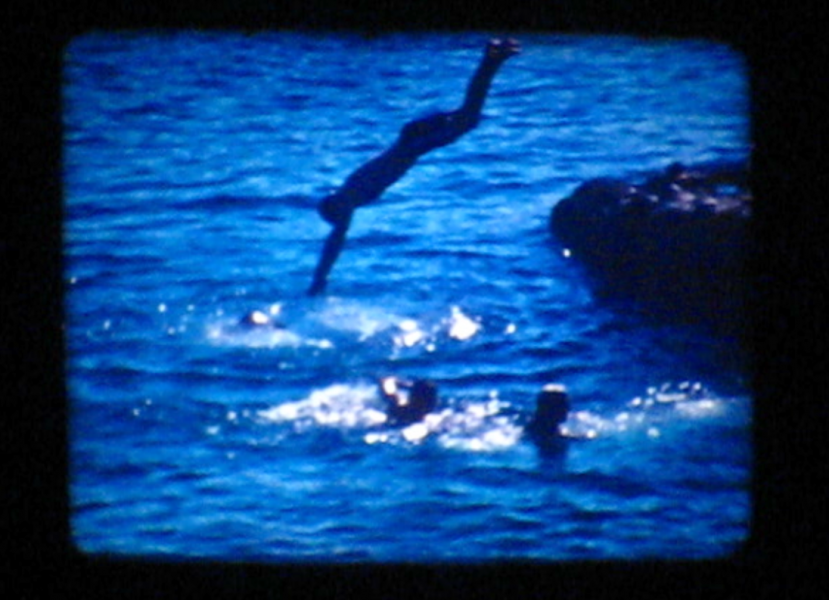 Diving Film, 2013
