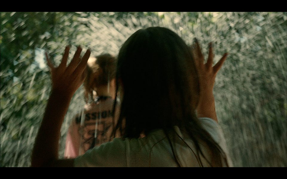 FOX, 2016