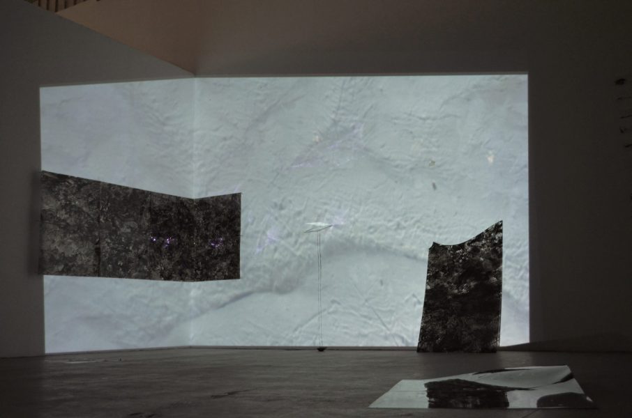 Εἴδωλον ἀμαυρόν, 2016