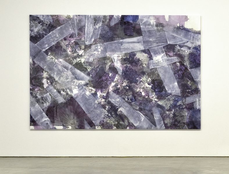 My Flower Smells Disaster, 2017