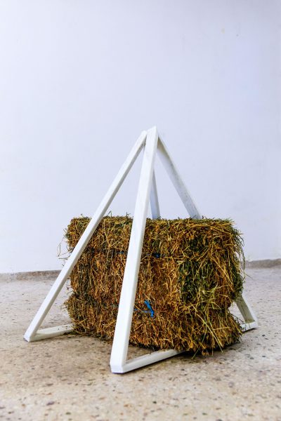 White Shed(Θέση μάντρα), 2018