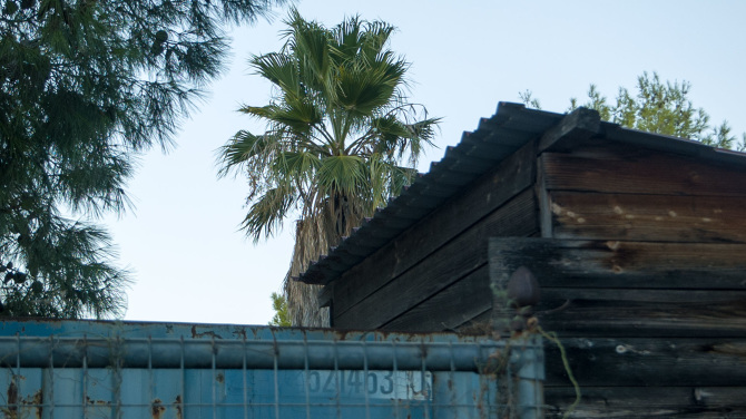 Harvest Shores, 2018
