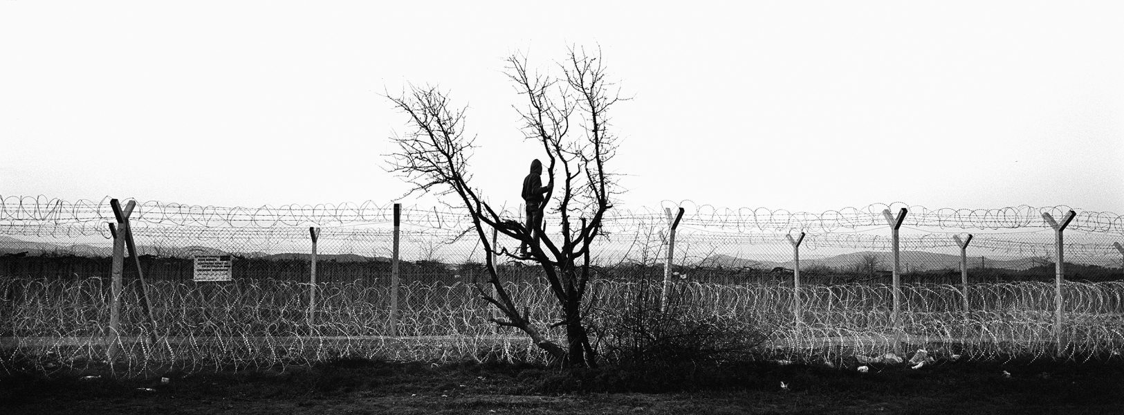 Trapped, 2018