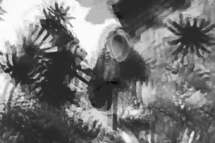 Daydreaming. Diary for a Walking Distance Measure, 2018