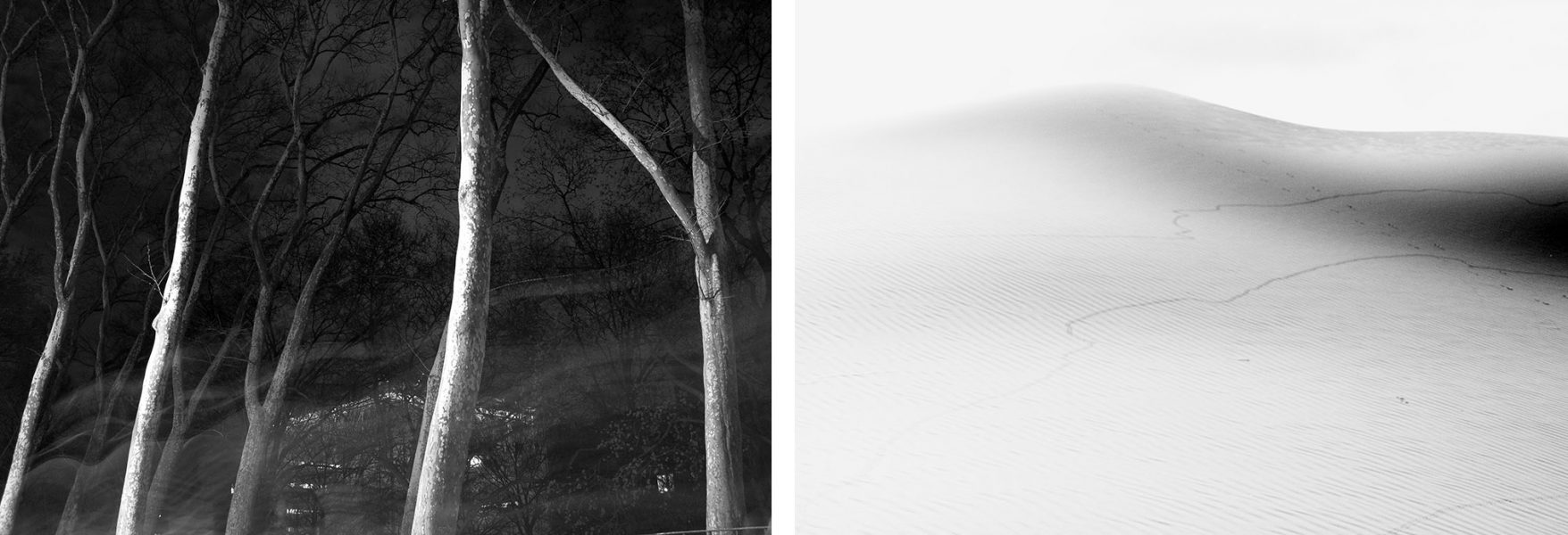 Landscrapings. Ny -Sahara, 2017