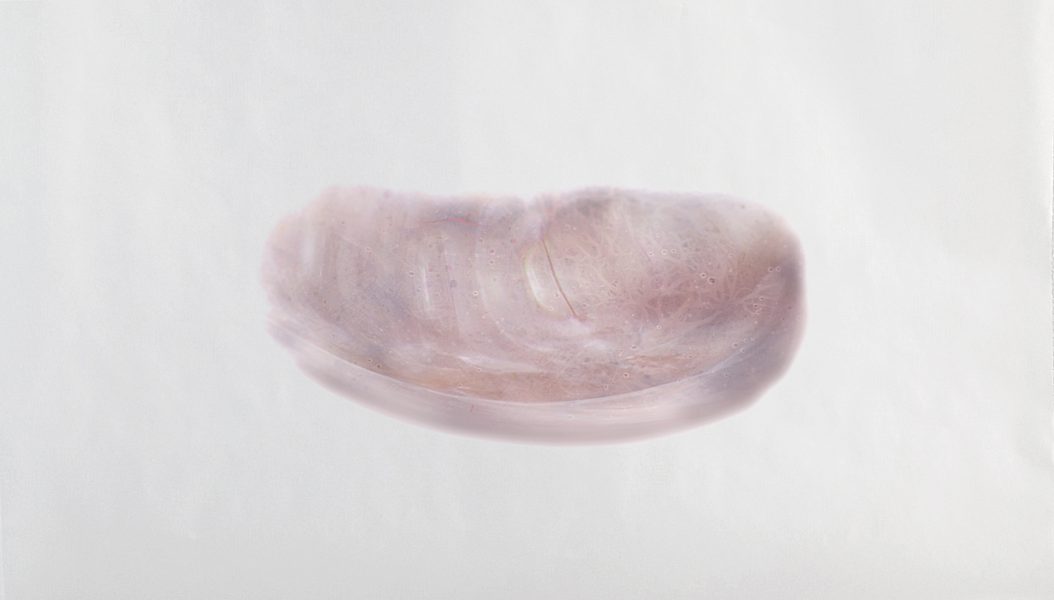 Untitled, 2018