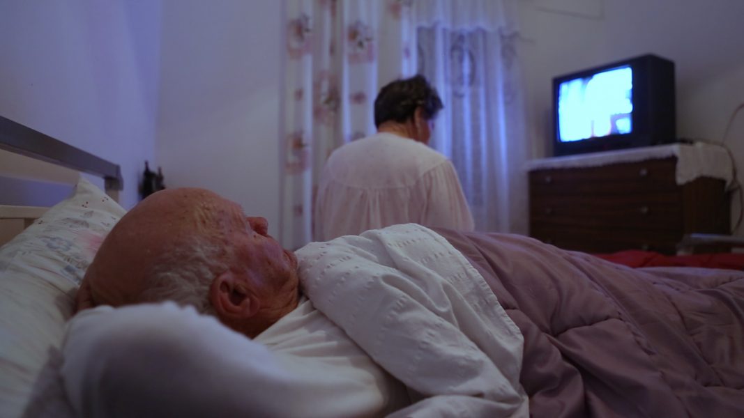 Τα Καναρίνια, 2019