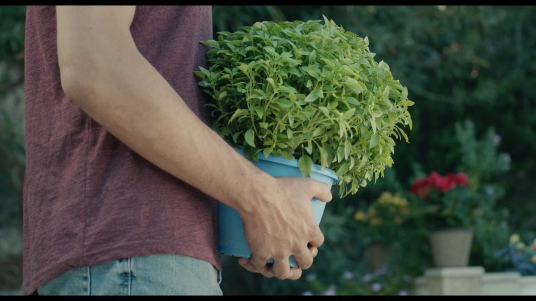 Βασιλικός, 2019