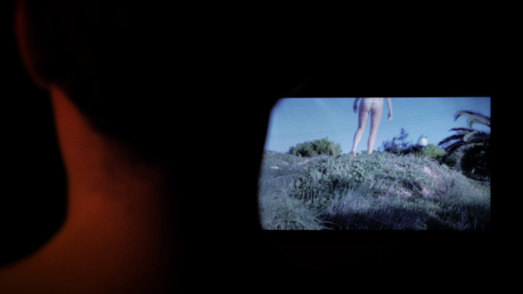 Flowers and Bottoms, 2016