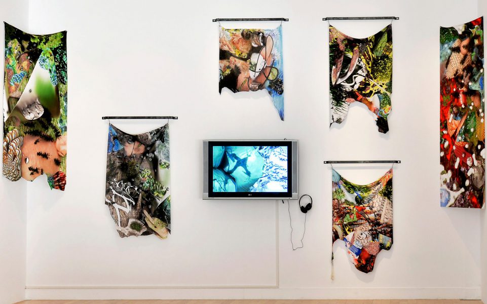 Factitious Imprints, 2016