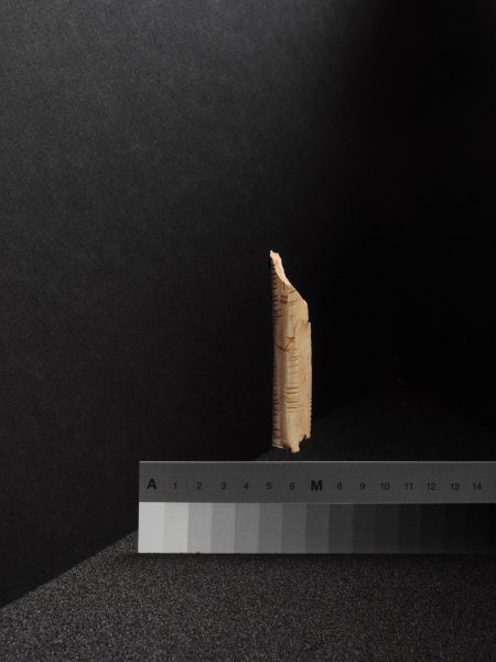 Bone fragment, από τη σειρά Unknown Relics / Relics of the Unknown, 2018