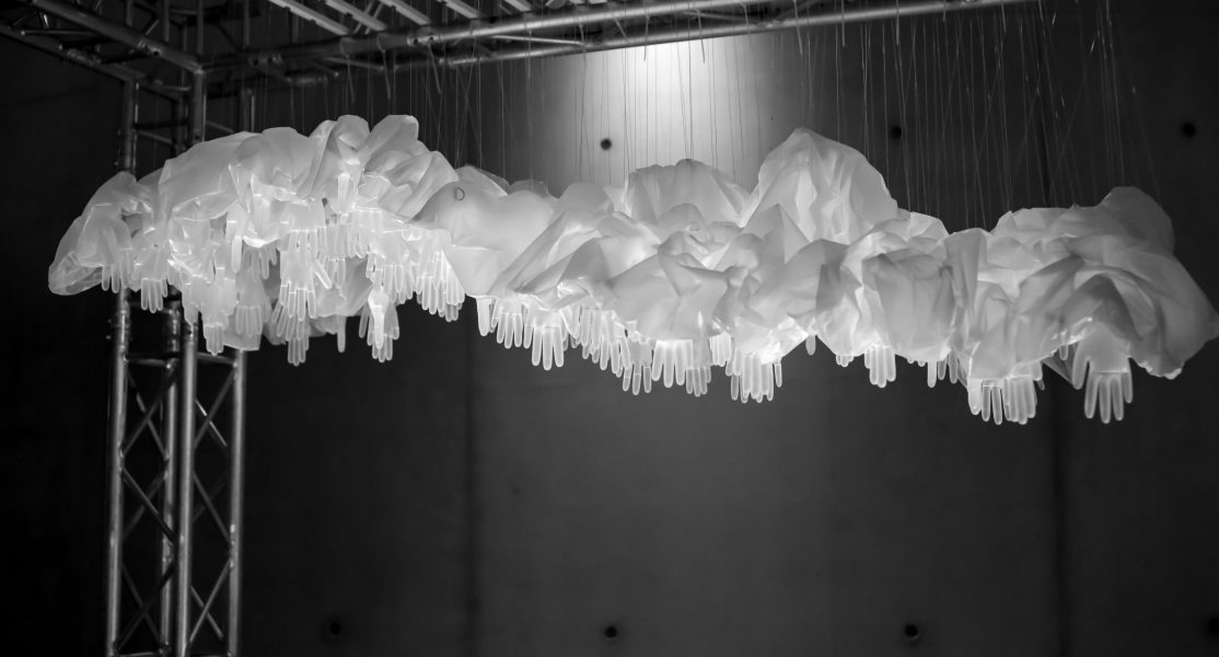 PLASTICITY, 2019