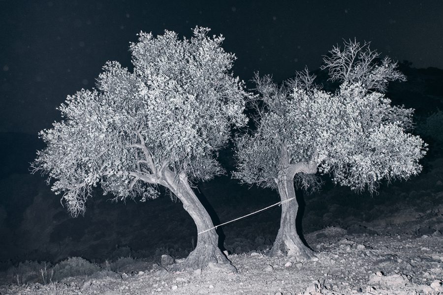 Τύπωμα σε χαρτί, από τη σειρά