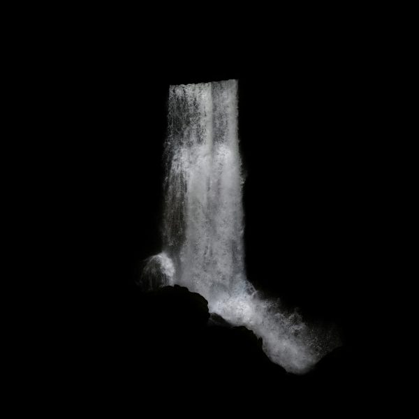 The desire for consciousness, 2015