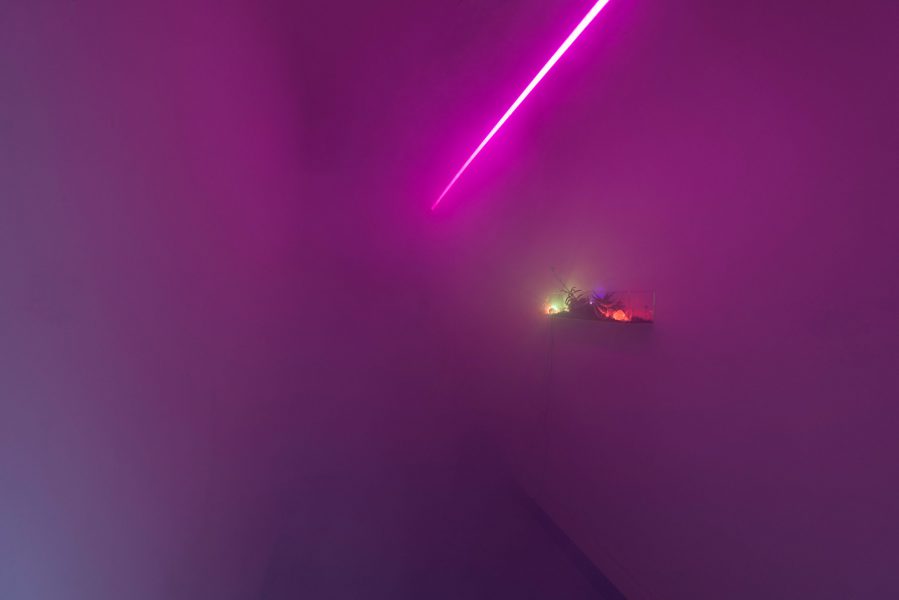 Neo Grotto 2018