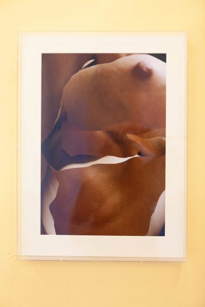 Untitled, 2019