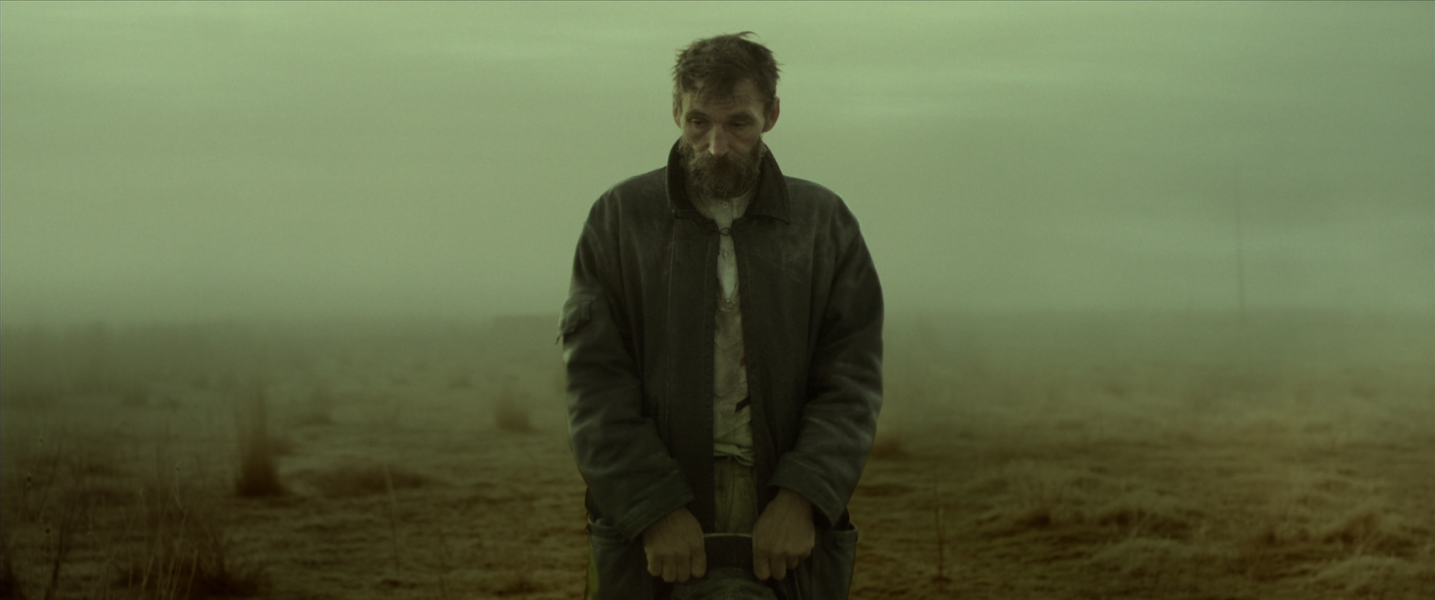 Το Χρυσό Φίδι, 2019