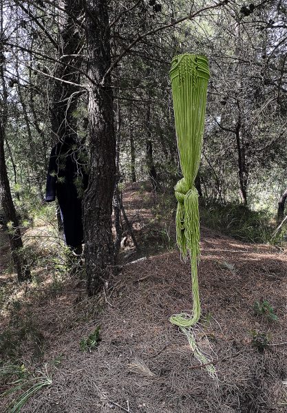 Entangled, 2020,