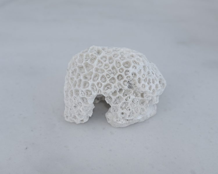 άτιτλο, από τη σειρά 'Cache', 2018