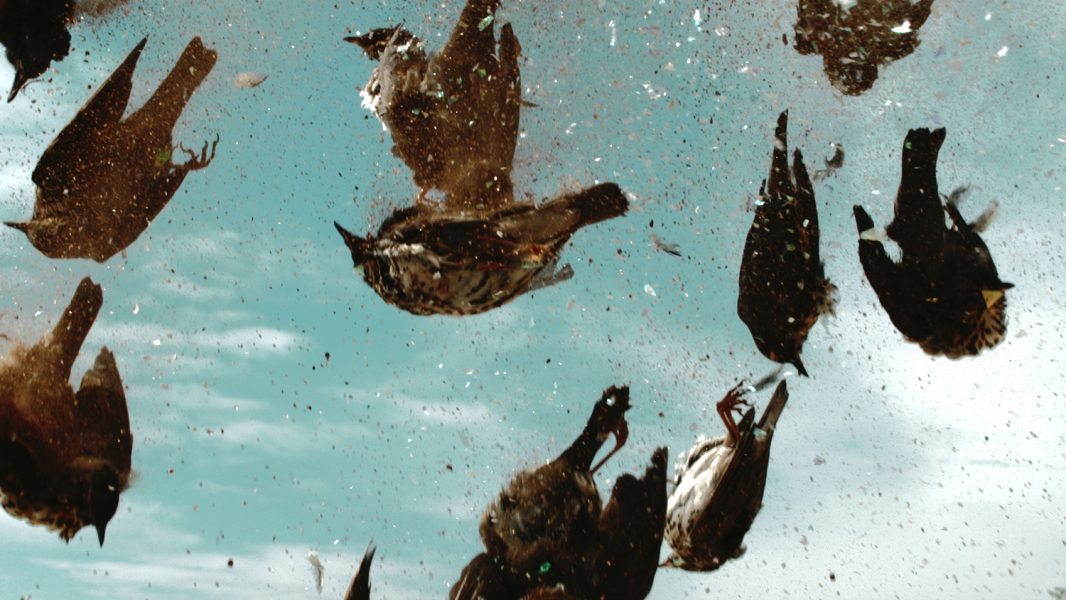 A Sign of Prosperity to the Dreamer, 2014