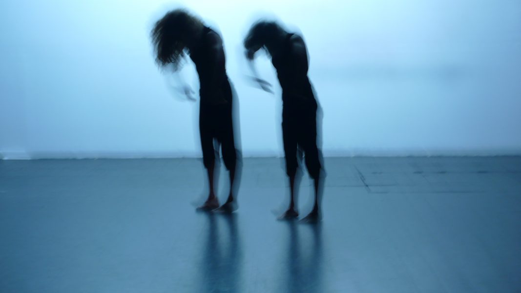 Μικρές ζωές ή το σώμα που κατοικώ, 2013