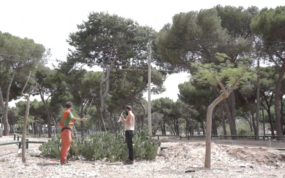 Orange Trees that Talk, Fittja Festival, Botkyrka Konsthall, Stockholm, Sweden, 2015