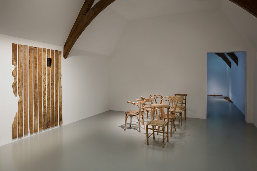 Eaten by Non-Humans, 2019