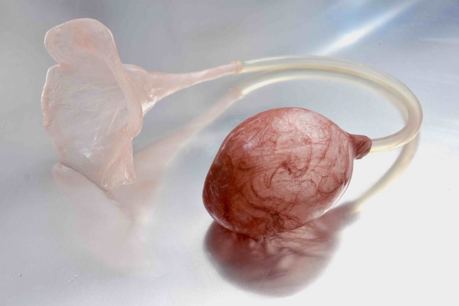 Internal systems, 2020