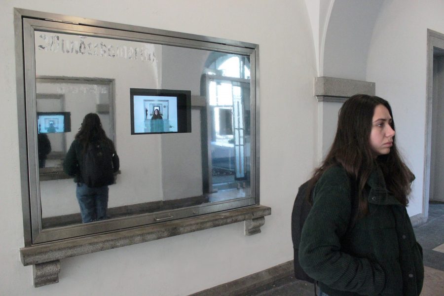 Wunderkammer(a), 2019