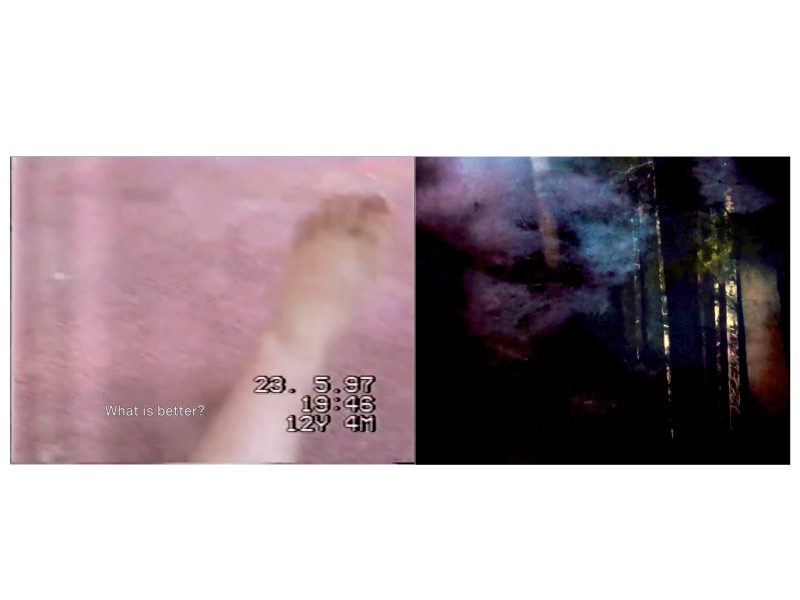 So, what about your dreams, daddy, dear?, 2014