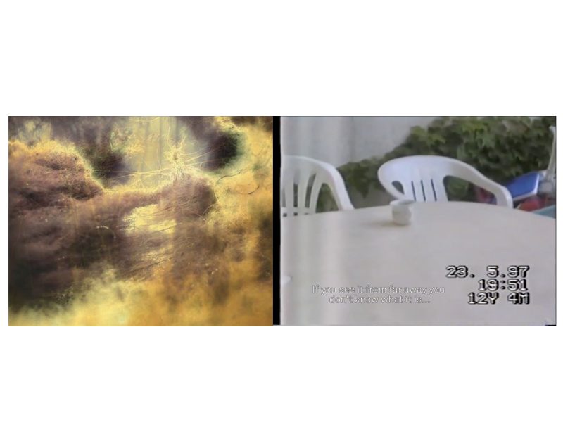 So, what about your dreams, daddy, dear?, 2014