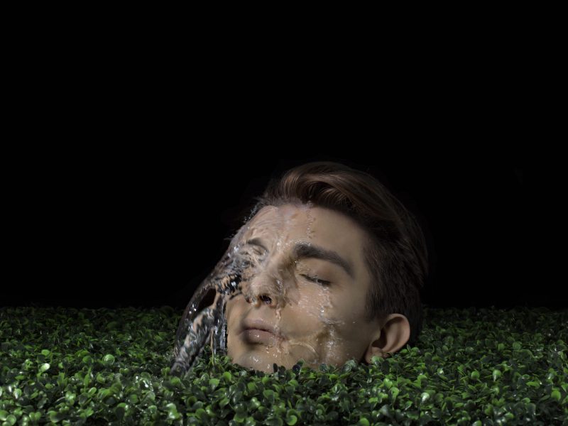 Social Animus, 2016