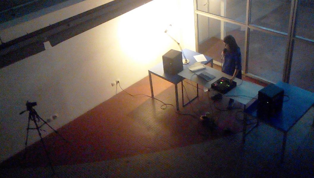 Music for Amphibious Populations: A DJ Lecture, 2019