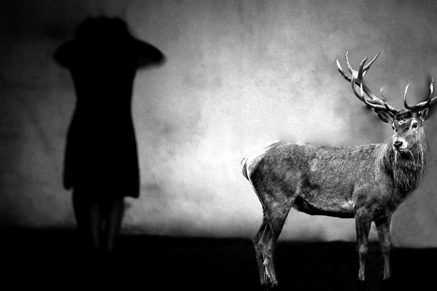 Abc, 2012, 2:49, videostill