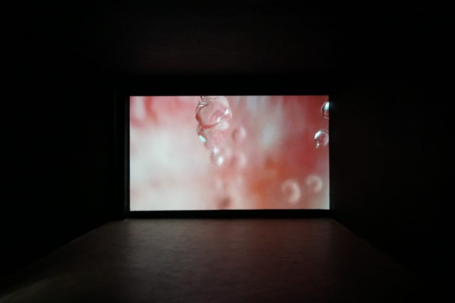 The Lips The Lisp The Slip of The Tongue, 2018