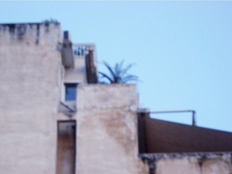 Ο Φίκος, 2015, 4΄