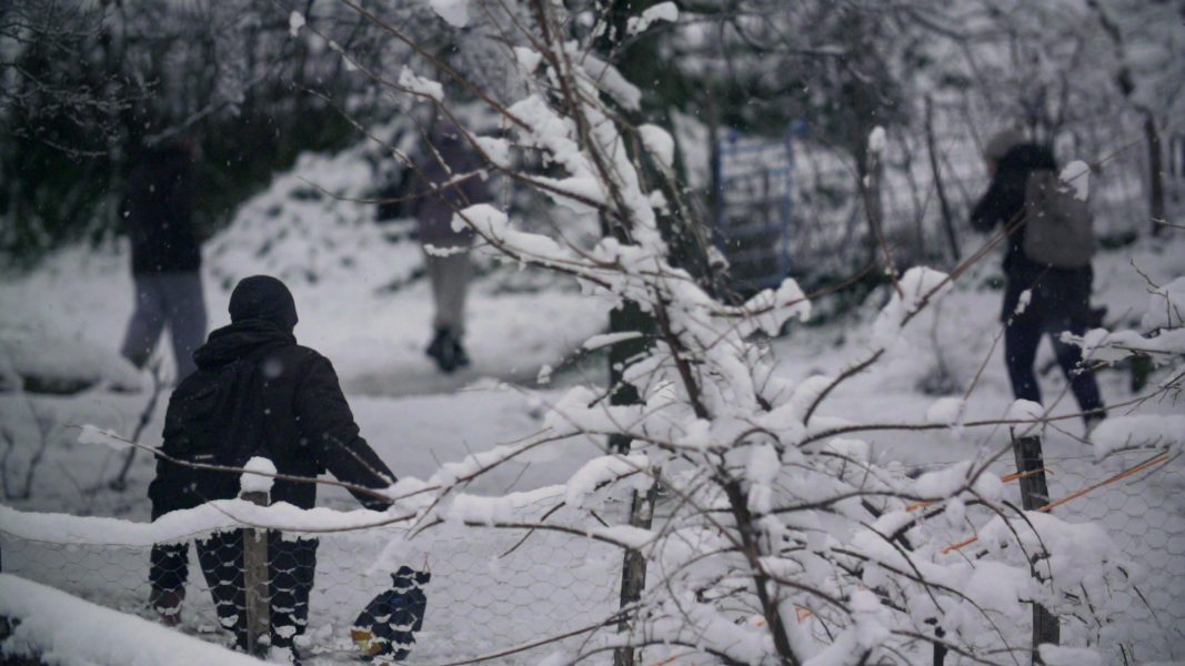 Cleaning the House, 2016, 20'