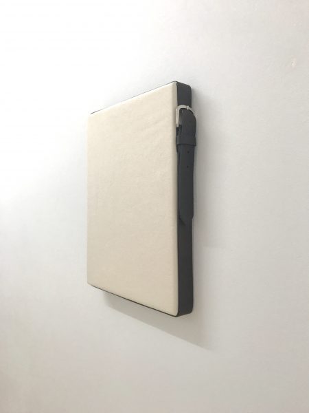 Belt tipped, 2019