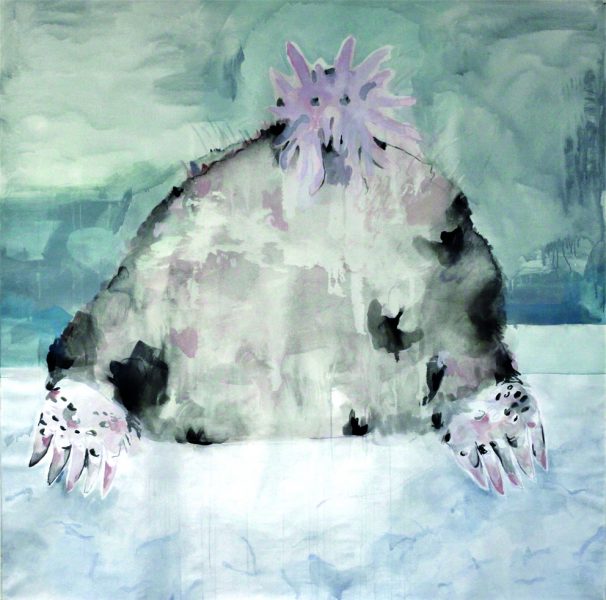 Condylura tristata(star-nosed mole), 2013