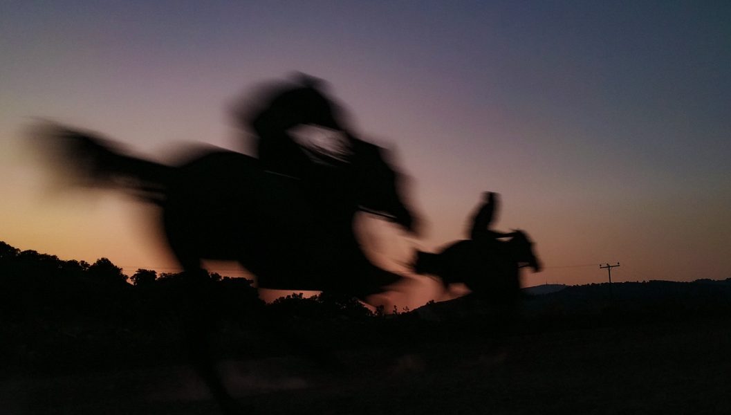 HORSES, 2021
