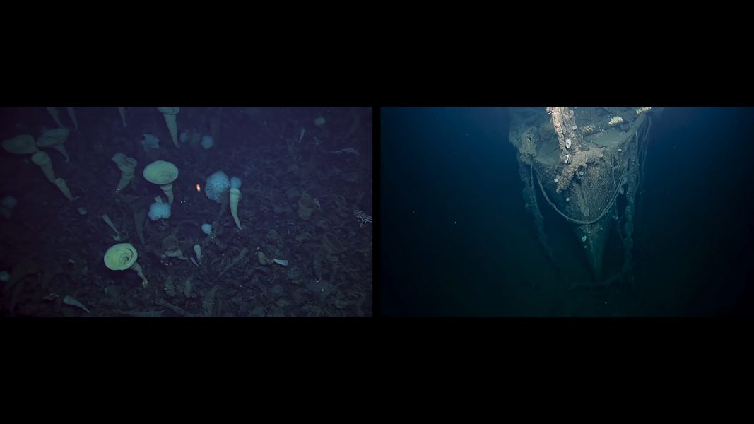 Ocean is Future, 2021
