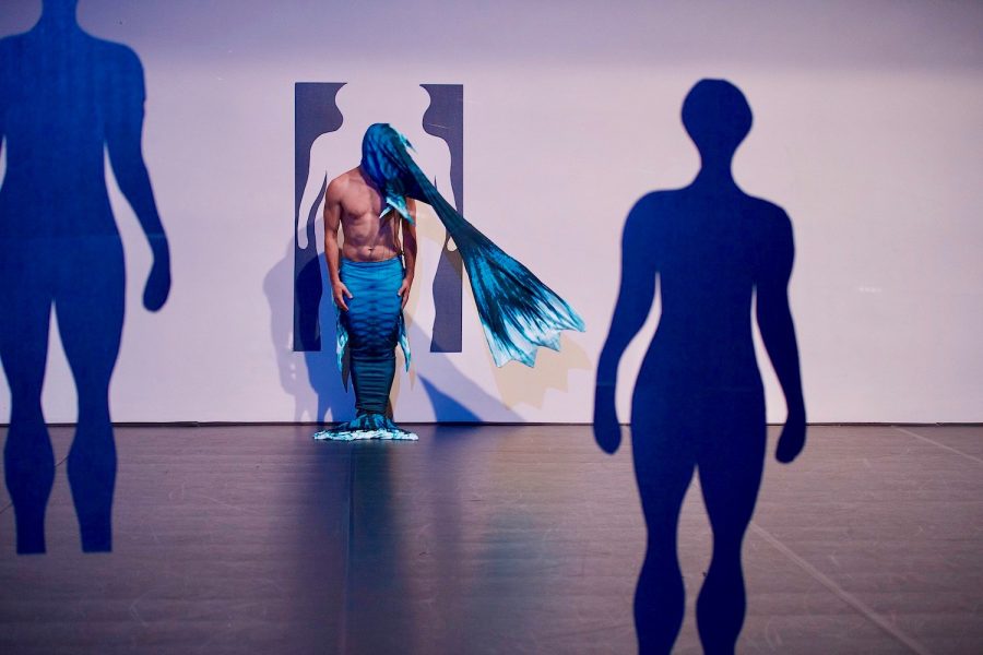 TRANSHUMAN HAI, 2020, 55'