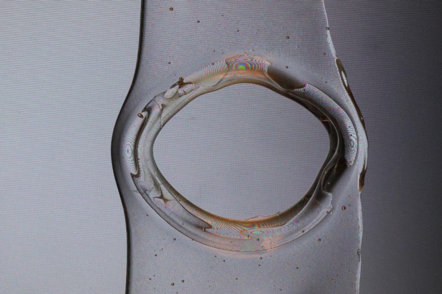 Digital Fossils (detail), 2019, digital photography