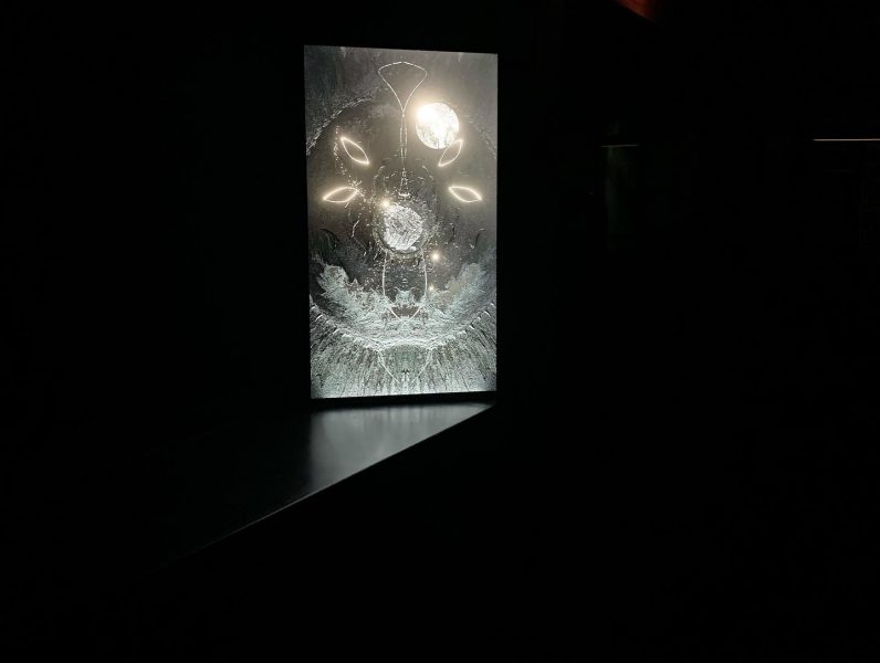 Cosmic Egg/ Ticking Lineage, 2022