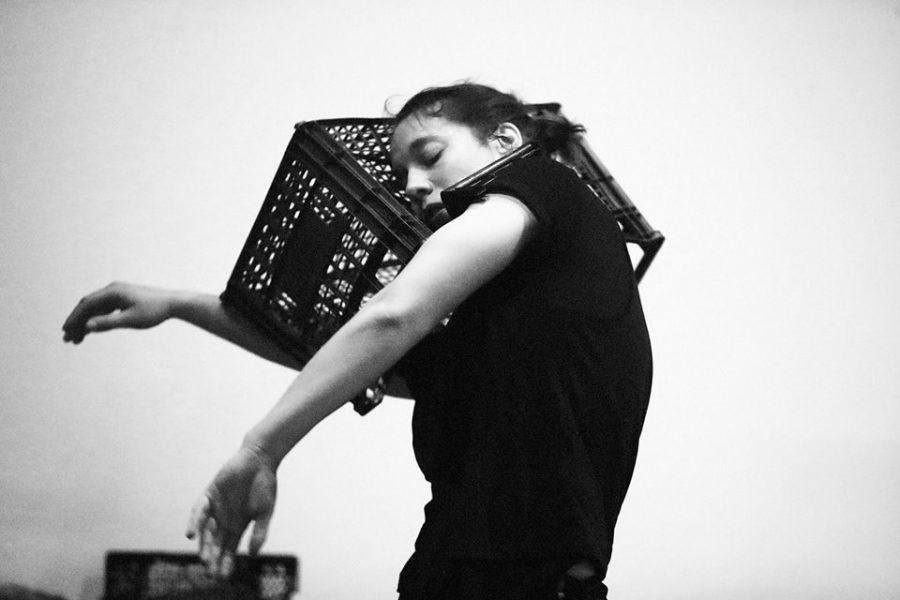 Terrain, Μαρία Κολιοπούλου, 2018 