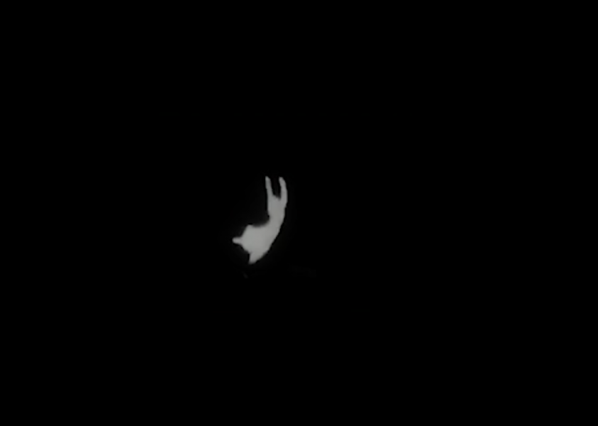 Chronicle, 2022, 4 min., video, colour