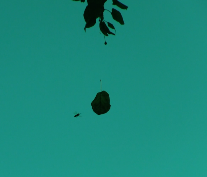 Once upon a time, 2019, 3 min., video, colour
