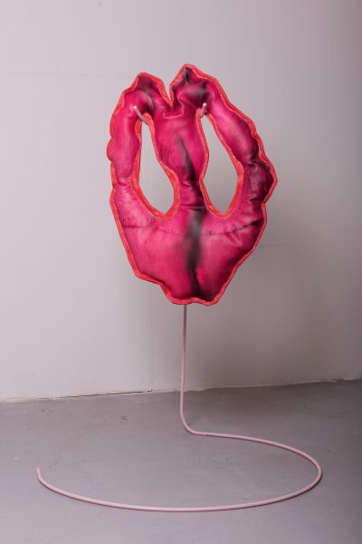 (Un)Becoming Monster(s), 2021, 90x129x90εκ, μικτά μέσα, έντυπες φωτογραφίες σε δερματίνη, συνδετήρες, γέμιση μαξιλαριού, χαλύβδινες ράβδοι, ακρυλικό σπρέι