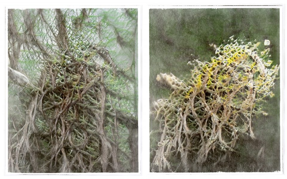 This is How it Feels, 2022