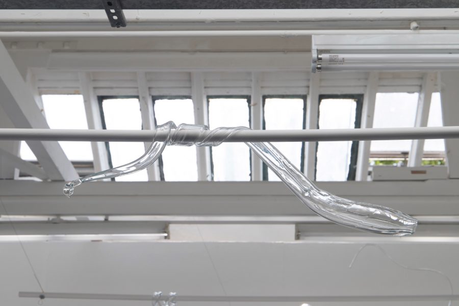 Suspended Sound, 2019